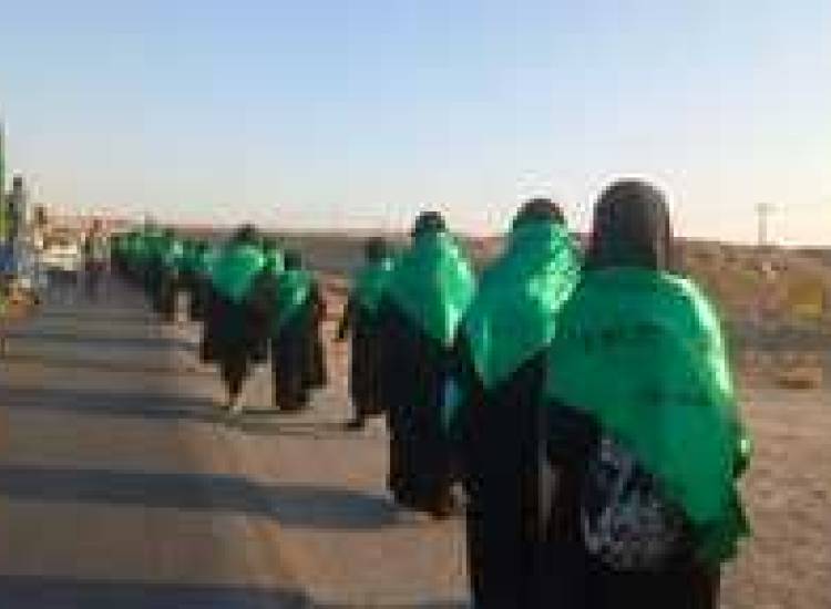 پیاده روی ایام سوگواری امام رضا(ع) 