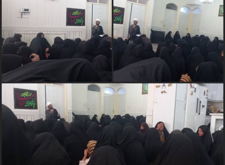 اخبار