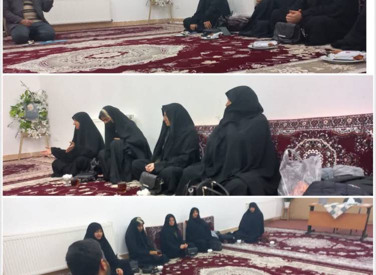 اخبار