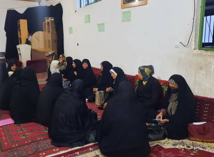 اخبار