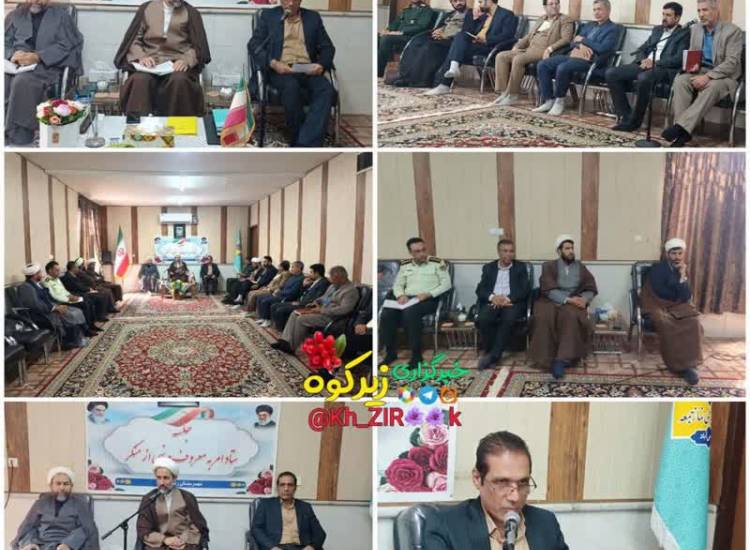 اخبار
