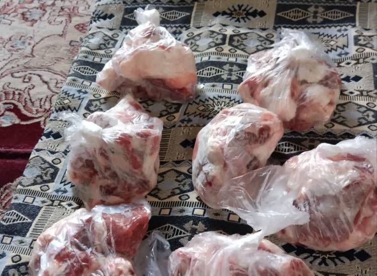 اخبار
