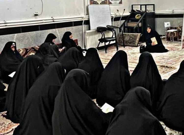 اخبار