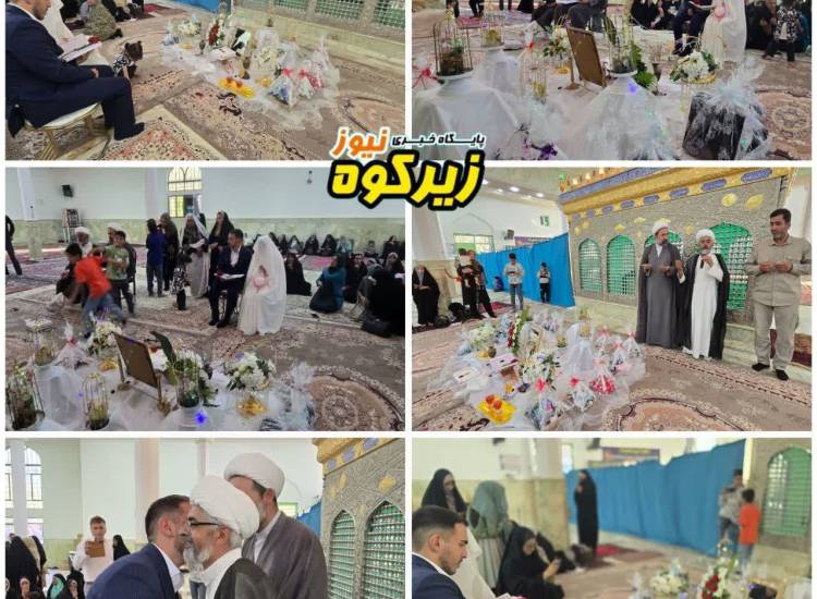 اخبار