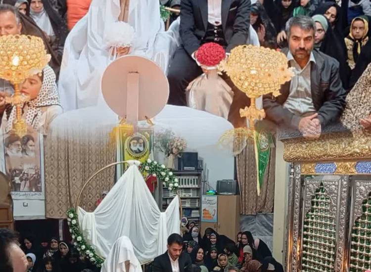 اخبار
