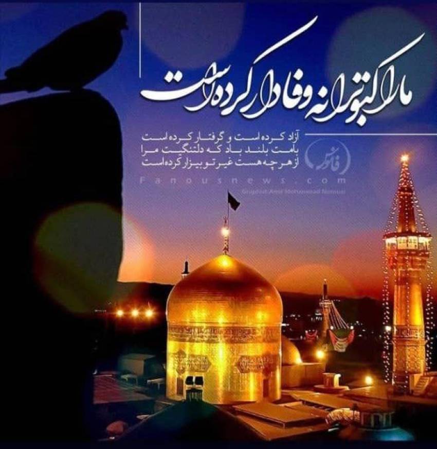 ما را کبوترانه وفادار کرده است