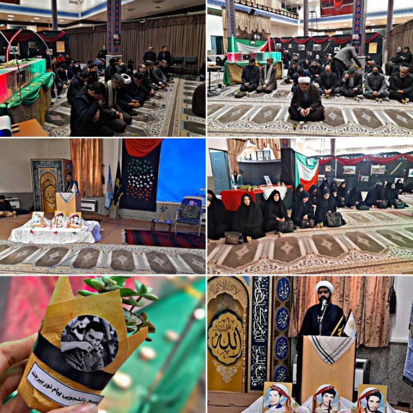 گزارش تصویری