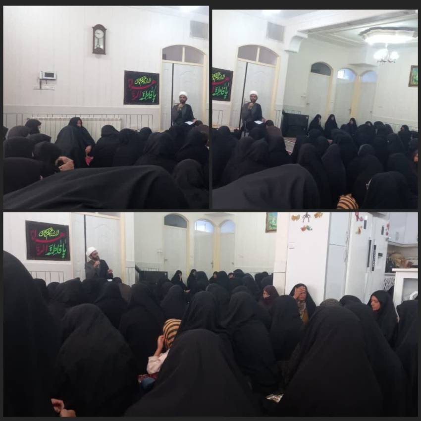 اخبار