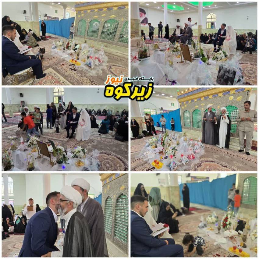 اخبار